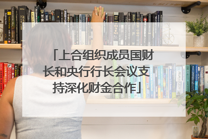 上合组织成员国财长和央行行长会议支持深化财金合作