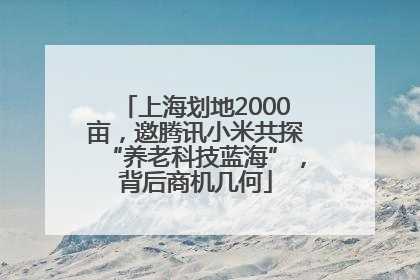 上海划地2000亩，邀腾讯小米共探“养老科技蓝海”，背后商机几何