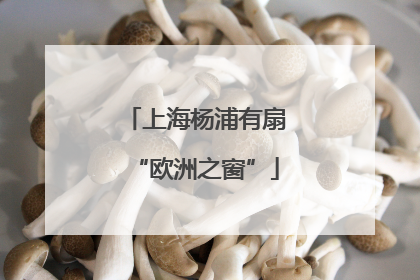 上海杨浦有扇“欧洲之窗”