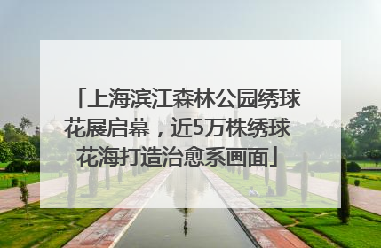 上海滨江森林公园绣球花展启幕，近5万株绣球花海打造治愈系画面