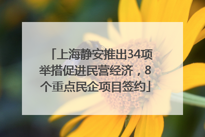 上海静安推出34项举措促进民营经济，8个重点民企项目签约