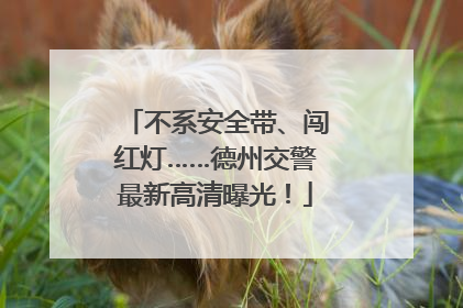 不系安全带、闯红灯……德州交警最新高清曝光！