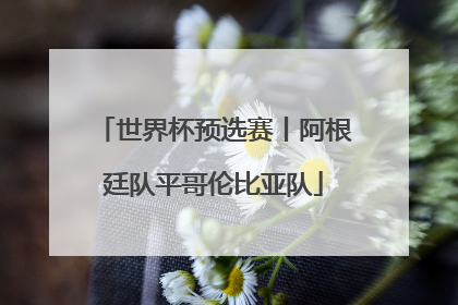 世界杯预选赛丨阿根廷队平哥伦比亚队