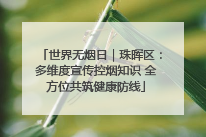 世界无烟日｜珠晖区：多维度宣传控烟知识 全方位共筑健康防线
