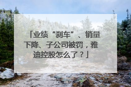 业绩“刹车”、销量下降、子公司被罚，雅迪控股怎么了？