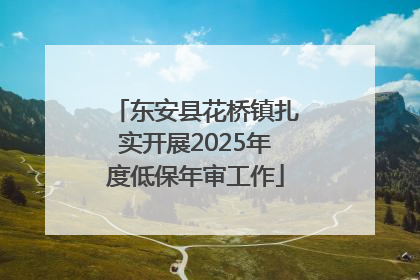 东安县花桥镇扎实开展2025年度低保年审工作