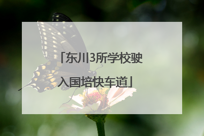 东川3所学校驶入国培快车道