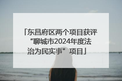 东昌府区两个项目获评“聊城市2024年度法治为民实事”项目