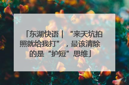 东湖快语｜“来天坑拍照就给我打”，最该清除的是“护短”思维