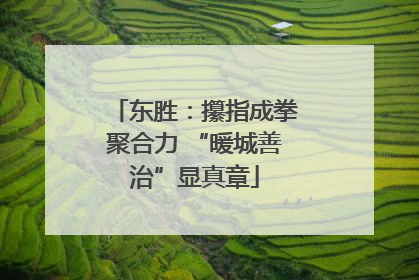 东胜：攥指成拳聚合力 “暖城善治”显真章