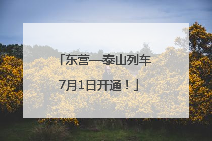 东营—泰山列车7月1日开通！
