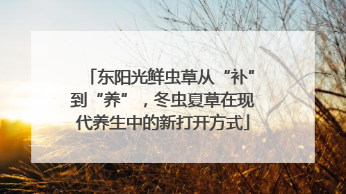 东阳光鲜虫草从“补”到“养”，冬虫夏草在现代养生中的新打开方式