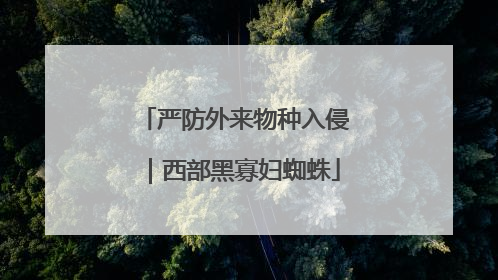 严防外来物种入侵｜西部黑寡妇蜘蛛