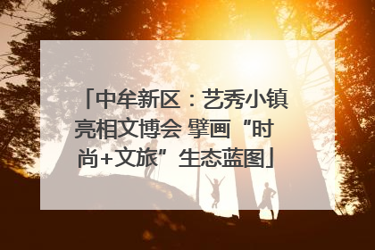 中牟新区：艺秀小镇亮相文博会 擘画“时尚+文旅”生态蓝图