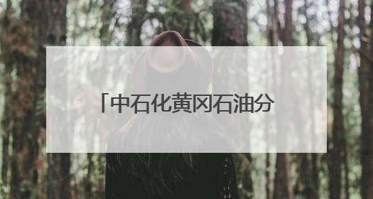 中石化黄冈石油分公司多措并举推进“安全生产月”系列活动走深走实