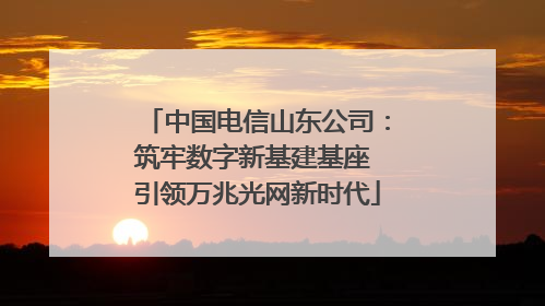 中国电信山东公司：筑牢数字新基建基座 引领万兆光网新时代