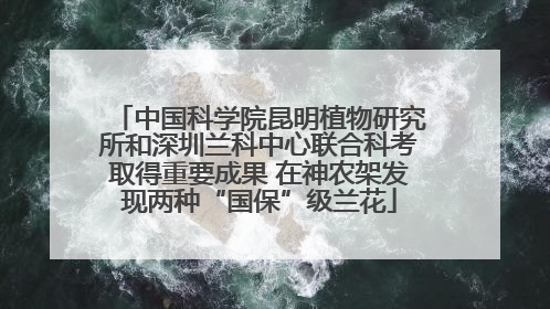 中国科学院昆明植物研究所和深圳兰科中心联合科考取得重要成果 在神农架发现两种“国保”级兰花