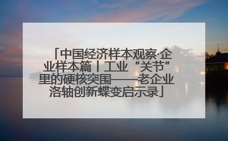 中国经济样本观察·企业样本篇丨工业“关节”里的硬核突围——老企业洛轴创新蝶变启示录