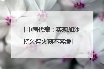 中国代表：实现加沙持久停火刻不容缓