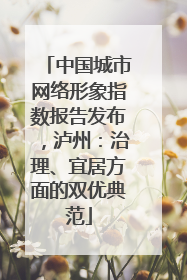 中国城市网络形象指数报告发布，泸州：治理、宜居方面的双优典范