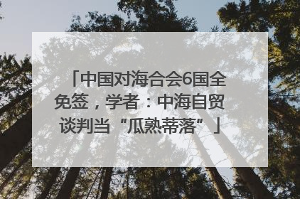 中国对海合会6国全免签，学者：中海自贸谈判当“瓜熟蒂落”