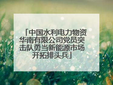 中国水利电力物资华南有限公司党员突击队勇当新能源市场开拓排头兵
