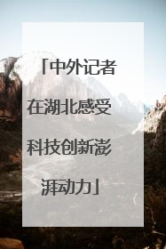中外记者在湖北感受科技创新澎湃动力