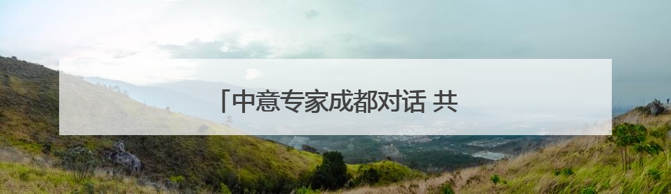 中意专家成都对话 共探文化遗产保护实践
