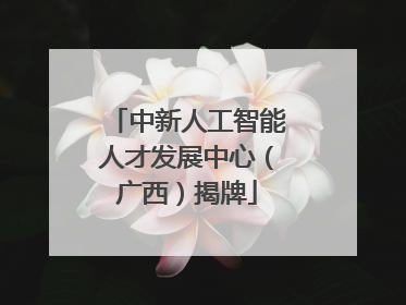 中新人工智能人才发展中心（广西）揭牌