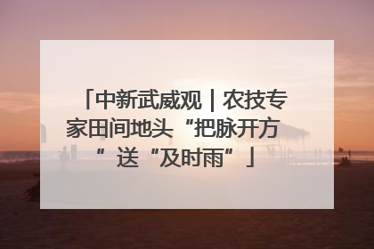 中新武威观｜农技专家田间地头“把脉开方”送“及时雨”