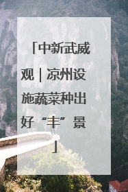 中新武威观｜凉州设施蔬菜种出好“丰”景