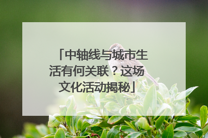 中轴线与城市生活有何关联？这场文化活动揭秘