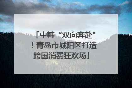 中韩“双向奔赴”！青岛市城阳区打造跨国消费狂欢场