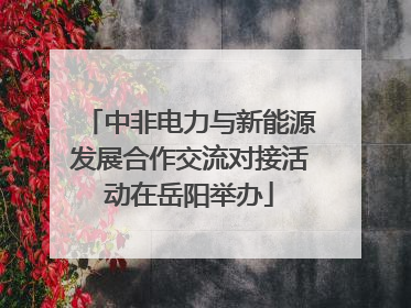 中非电力与新能源发展合作交流对接活动在岳阳举办