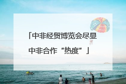 中非经贸博览会尽显中非合作“热度”