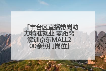 丰台区直播带岗助力精准就业 零距离解锁京东MALL200余热门岗位