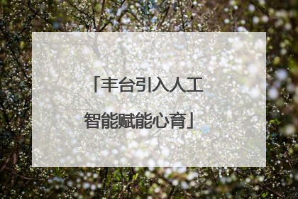 丰台引入人工智能赋能心育