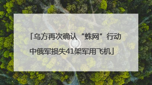 乌方再次确认“蛛网”行动中俄军损失41架军用飞机