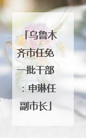 乌鲁木齐市任免一批干部：申琳任副市长