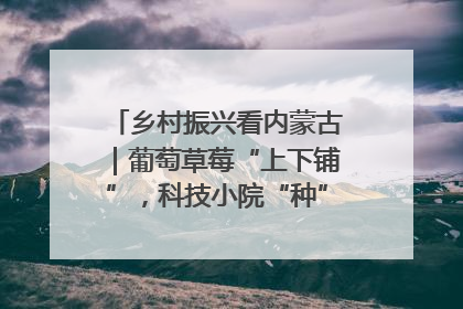乡村振兴看内蒙古｜葡萄草莓“上下铺”，科技小院“种”出三倍效益