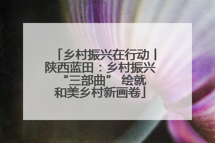 乡村振兴在行动丨陕西蓝田：乡村振兴 “三部曲” 绘就和美乡村新画卷