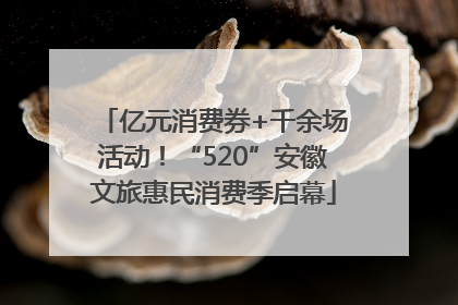 亿元消费券+千余场活动！“520”安徽文旅惠民消费季启幕