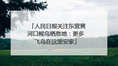 人民日报关注东营黄河口候鸟栖息地：更多飞鸟在这里安家