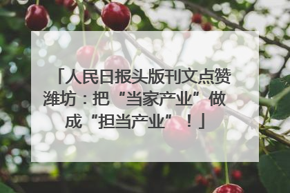 人民日报头版刊文点赞潍坊：把“当家产业”做成“担当产业”！