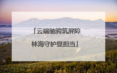 云端驰骋筑屏障 林海守护显担当