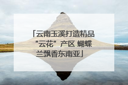 云南玉溪打造精品“云花”产区 蝴蝶兰飘香东南亚