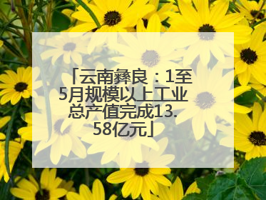 云南彝良：1至5月规模以上工业总产值完成13.58亿元