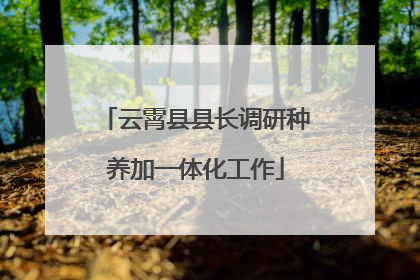 云霄县县长调研种养加一体化工作