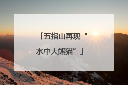 五指山再现“水中大熊猫”
