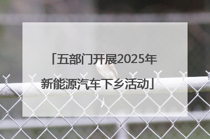 五部门开展2025年新能源汽车下乡活动